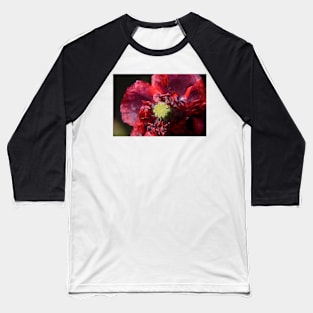 Ephemeral Elegance Baseball T-Shirt